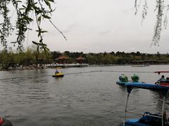 -长春市南湖公园