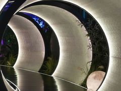 -水之梦(黄浦店)