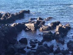 -龙头岩(Dragon Head Rock)