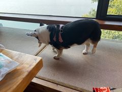 -凡烟外慢生活体验馆