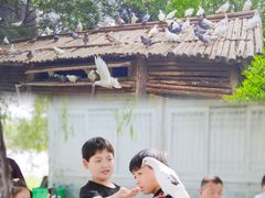-中国翰园碑林