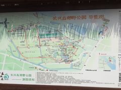 -上海长兴岛郊野公园
