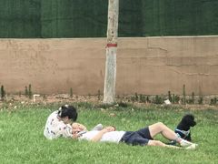 -君乐宝优致牧场