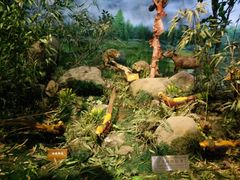 -陕西自然博物馆