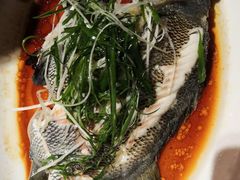 -张记旺角食街(动物园店)