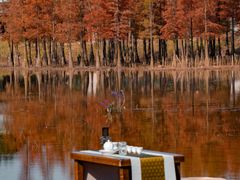 -白鹭湾湿地公园