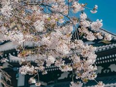 -灌篮高手动画打卡地