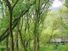-西湖风景区-江洋畈生态公园