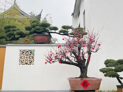 -龙华寺
