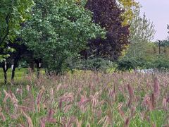 -汉长安城未央宫国家考古遗址公园