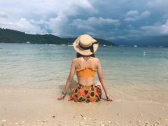 -东姑阿都拉曼海洋公园