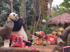 -海南热带野生动植物园