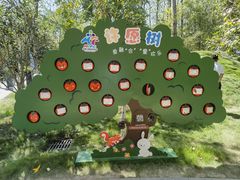 -合肥滨湖国家森林公园