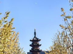 -龙华寺