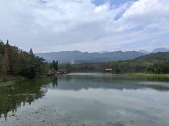 -田野绿世界