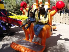 -辛玛王国游乐园