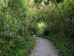 景点-新江湾城公园