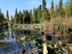 -艾溪湖湿地公园