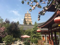 皇家园林气派-大唐博相府酒店·陕西官府菜