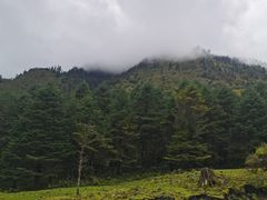 -硗碛藏寨·神木垒景区