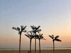 -金梦海湾浴场