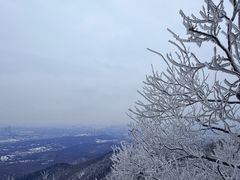-紫金山山顶公园