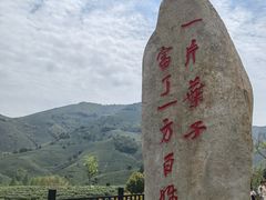 -帐篷客·溪龙茶谷度假酒店