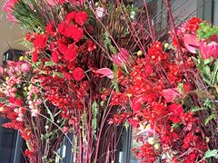 -云溪植物园