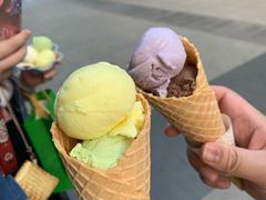 -成裕雪糕店(士多店)