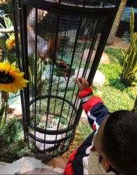 -酷嗒动物文化乐园(cutezoo西溪乐天城店)