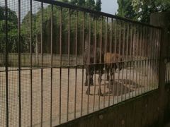 -昆明动物园