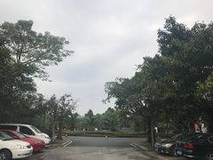 -稻香酒家·34年老字号·港式粤菜(侨光店)