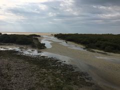 -北海金海湾红树林生态旅游区