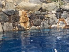 -湖泉半山温泉(湖泉生态园)