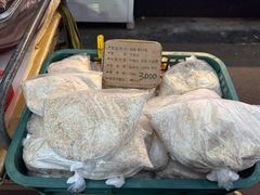 -西归浦每天偶来市场