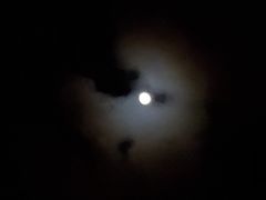 -顽啤熊·酒客酒馆(苏城夜景必选店)