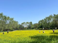 -北坞公园