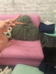 -doladola(徐家汇店)