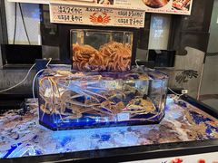 -蟹道乐(道顿堀本店)