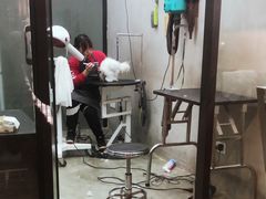 -PETKIT小佩宠物·低压洗护(国顺东路店)