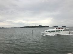 -松岛