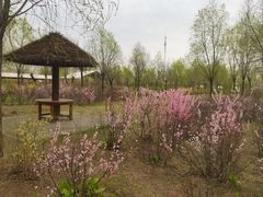 -呼兰河口湿地公园