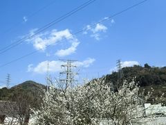 -泽雅景区
