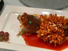 -松鹤楼·非遗·苏帮菜(融科店)
