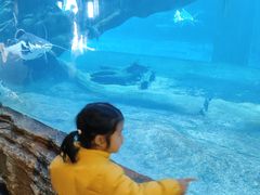 -华夏文旅海洋公园