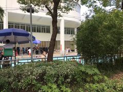 -沈坚强游泳俱乐部(长征分部)