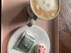 -喵屿·大理花园猫咖