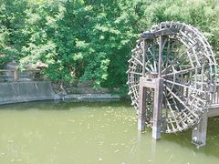 -石老人观光园