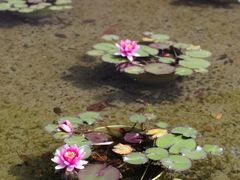 -上海市龙华烈士陵园