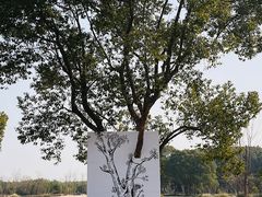 -嘉北郊野公园